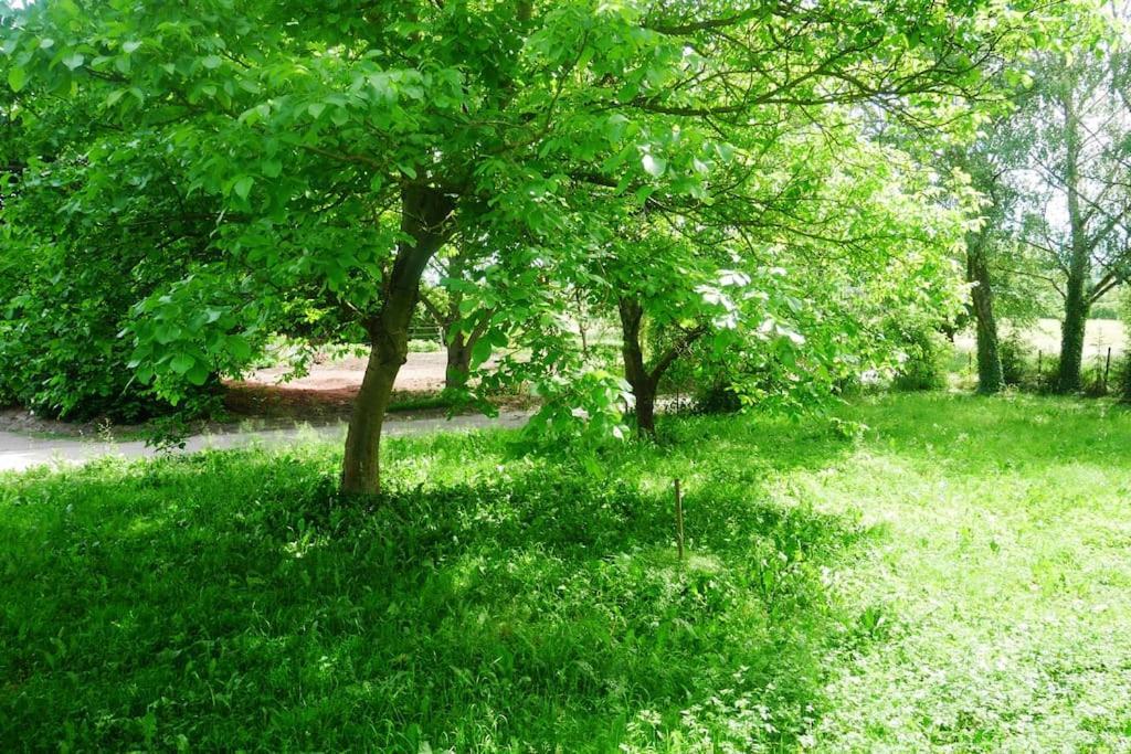 Ferienwohnung Im Gruenen Gottenheim Εξωτερικό φωτογραφία
